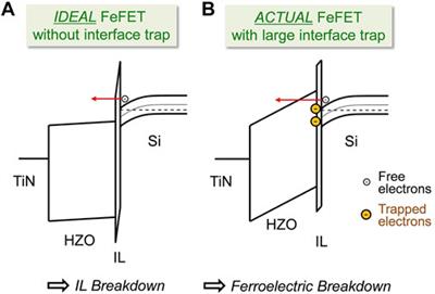 Breakdown-limited endurance in HZO FeFETs: Mechanism and improvement under bipolar stress